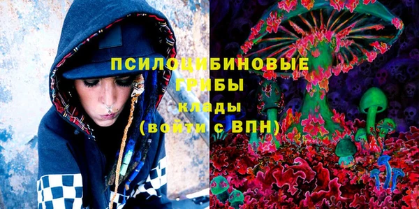 молекула духа Михайловка