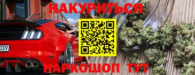 мдпв Дубна