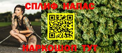 мдпв Дубна