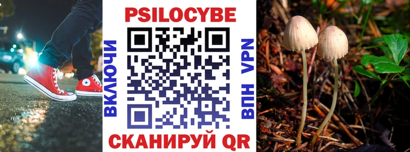 купить   Лесозаводск  Галлюциногенные грибы Cubensis 