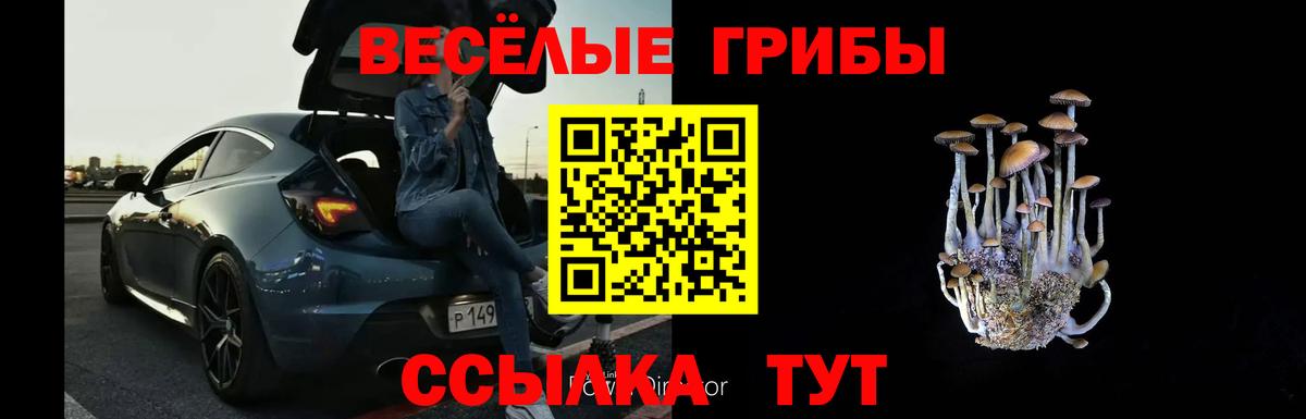 Лесозаводск  Псилоцибиновые грибы мицелий  Вход с VPN 